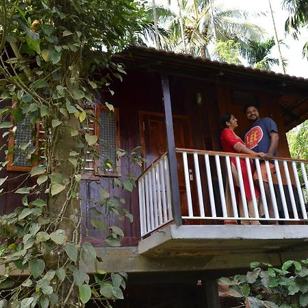 Little Home Resort Vythiri Exterior foto