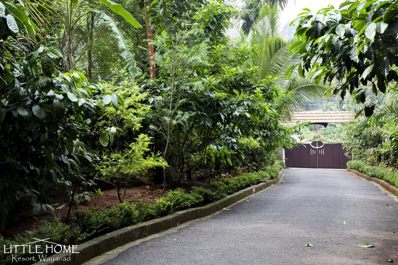Little Home Resort Vythiri Exterior foto