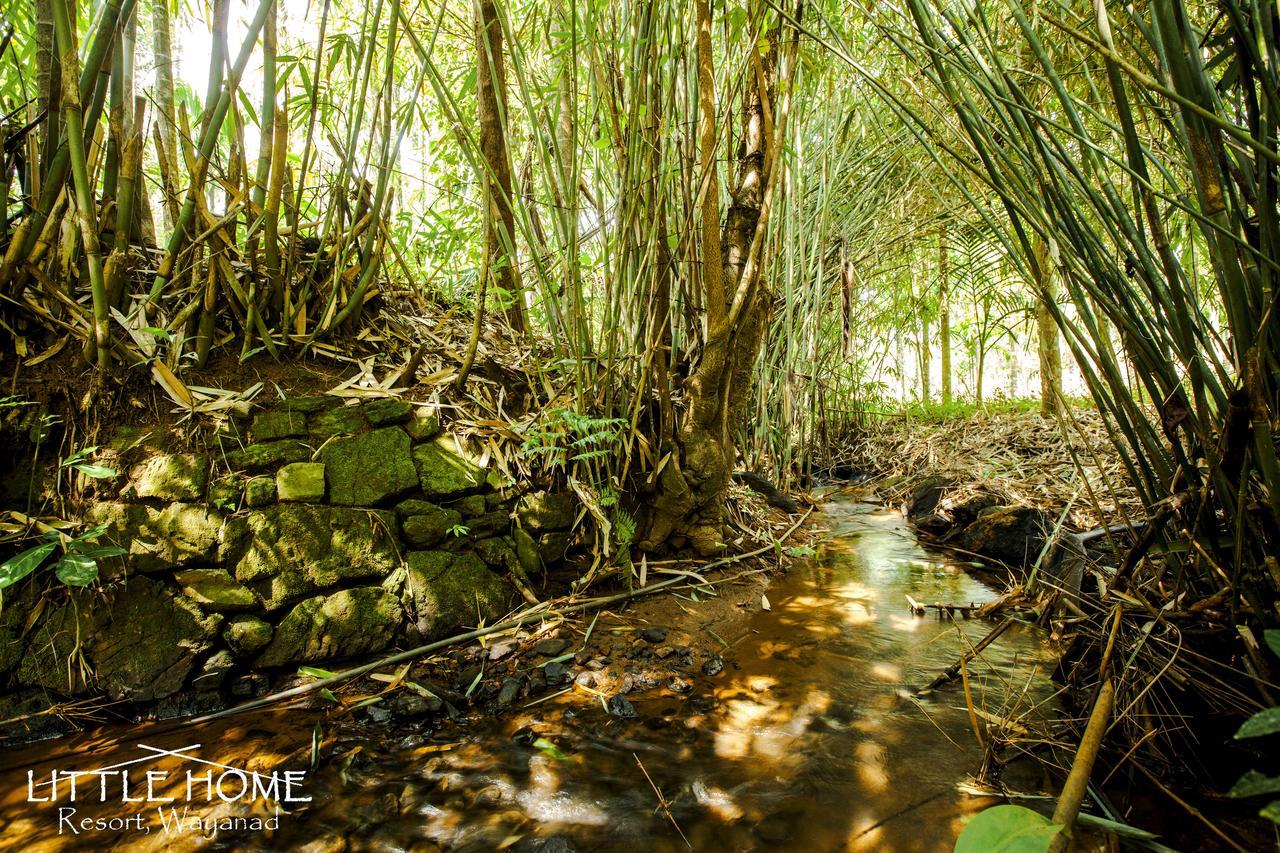 Little Home Resort Vythiri Exterior foto