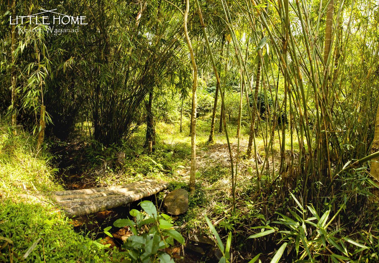 Little Home Resort Vythiri Exterior foto