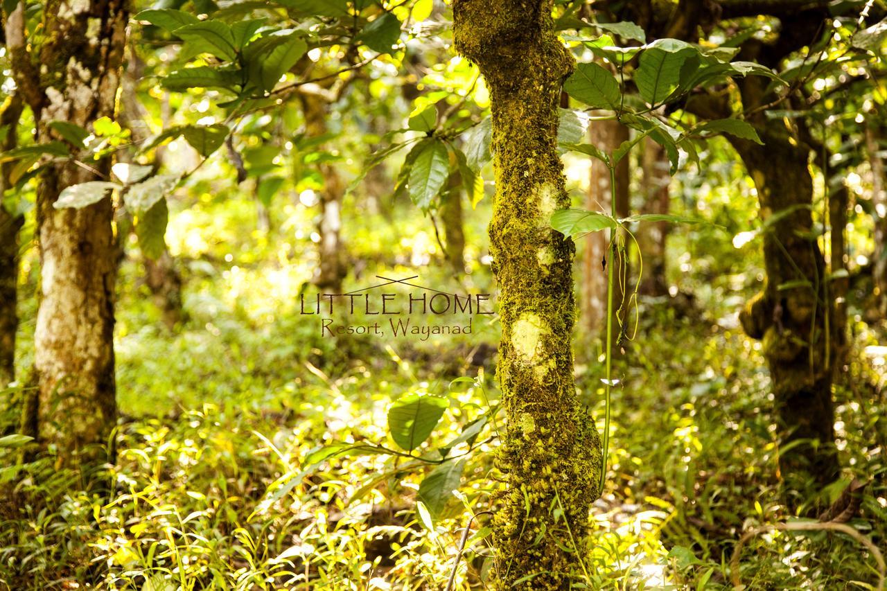 Little Home Resort Vythiri Exterior foto
