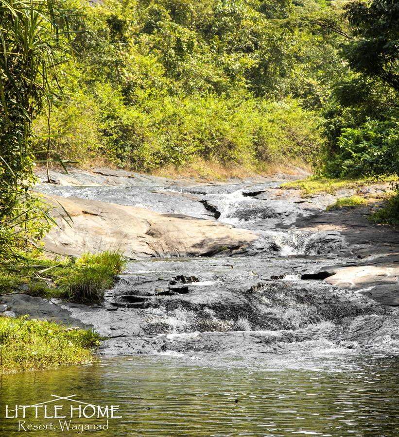 Little Home Resort Vythiri Exterior foto