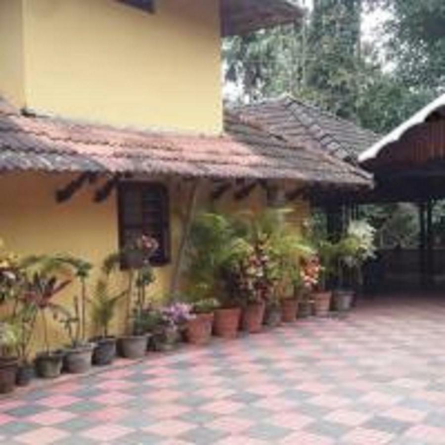 Little Home Resort Vythiri Exterior foto